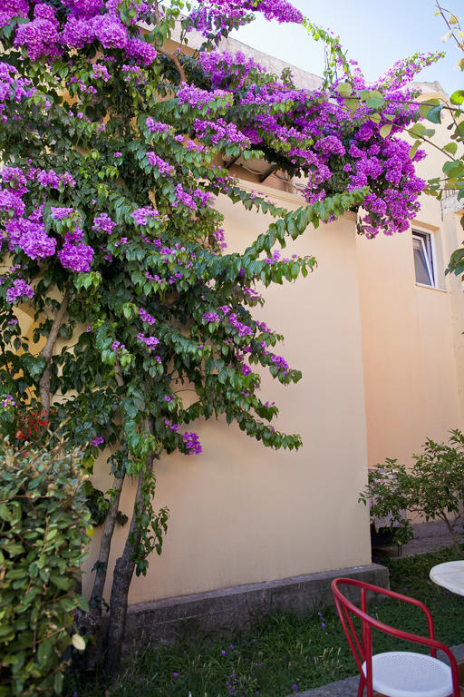 Apartments Angela Budva Bagian luar foto
